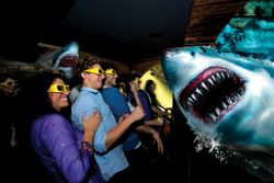 1720168808_250_House Katmandu Park House Shark 1_MAL_KatmanduPark_2024-03.jpg
